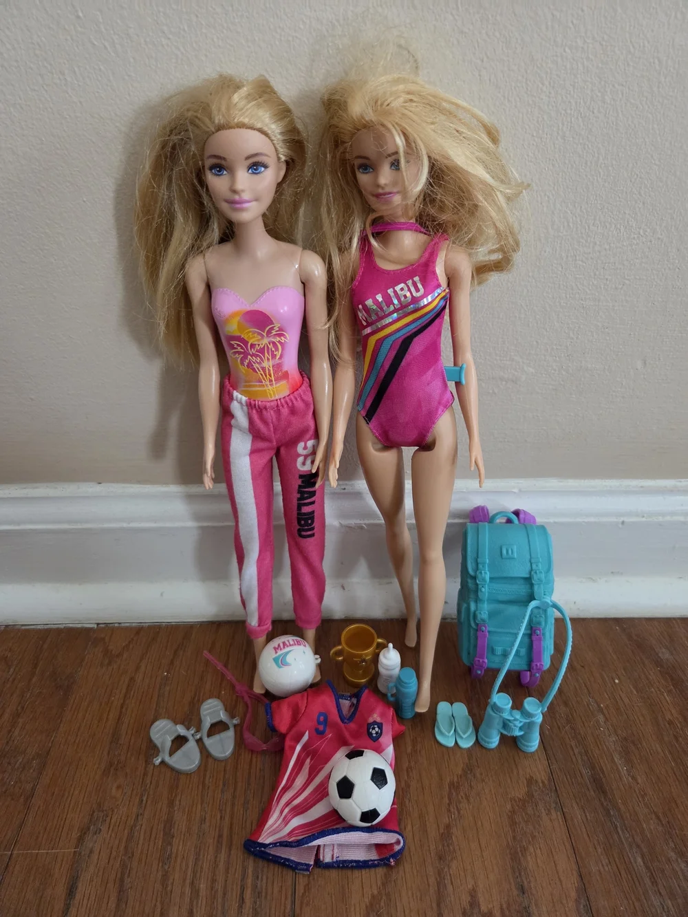 Mattel Barbie Pink Malibu Swim With Sporting Accesories & Travel